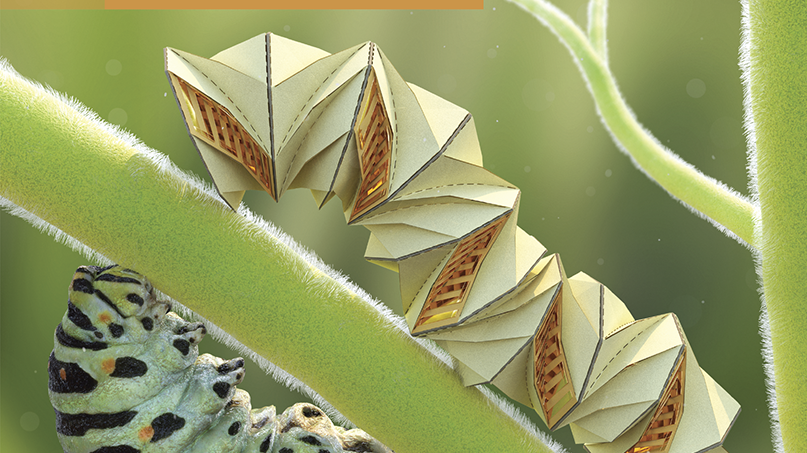 Origami Caterpillar Cover
