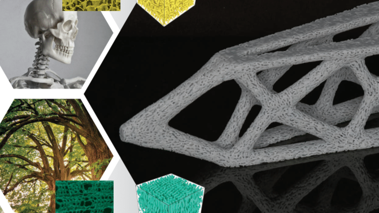 Spinodal materials