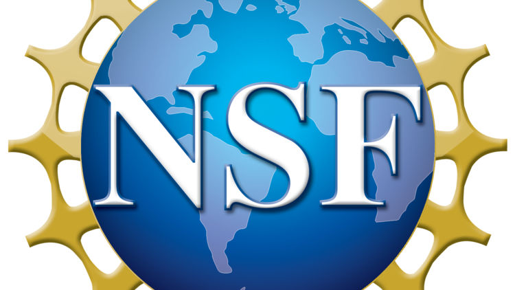 NSF Blue Ribbon Panel SBES and Beyond