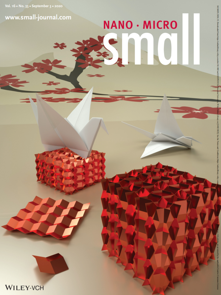 small Cover