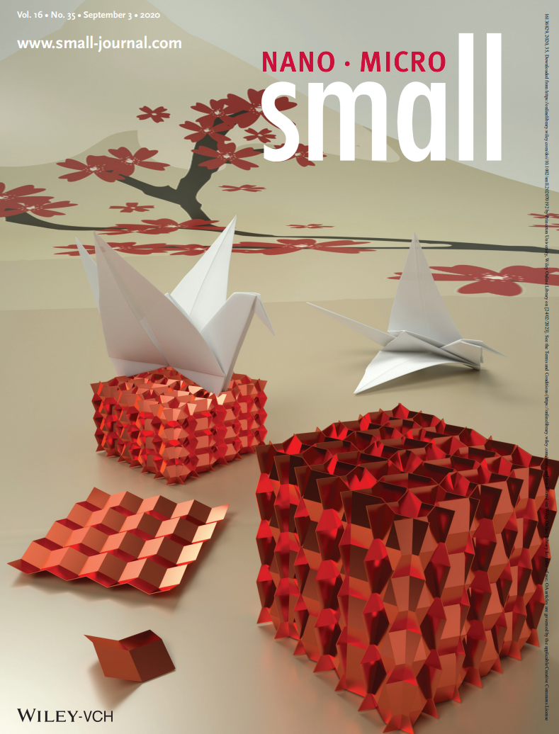 small Cover