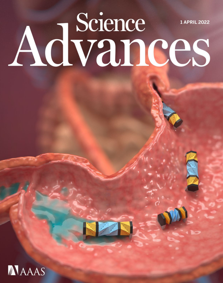 Science Advances Cover