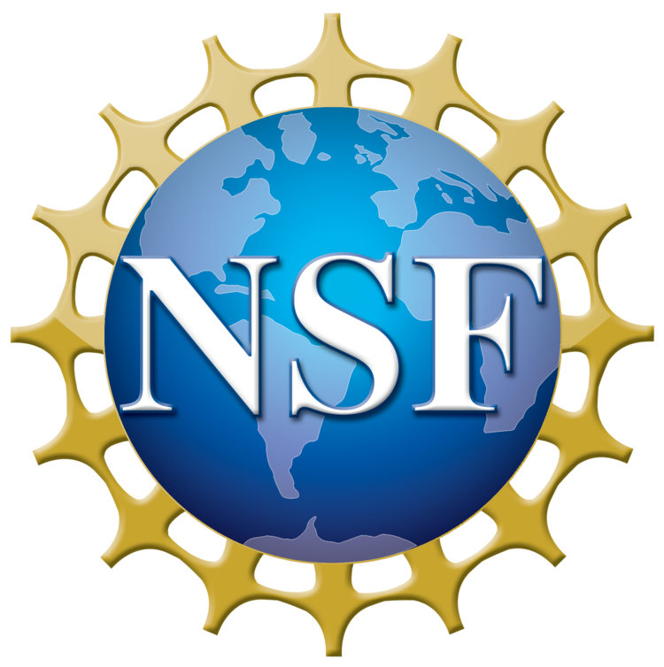 NSF Blue Ribbon Panel SBES and Beyond